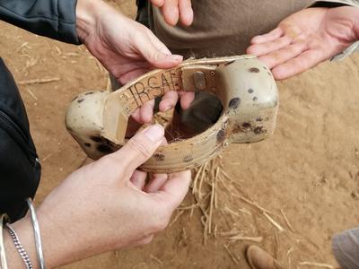 Morukuru-Goodwill-Foundation---Conservation-work-in-Madikwe-Game-Reserve-(1).jpg