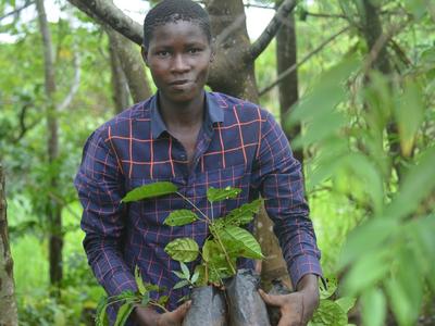 2.-a.Noe-bringing-umbaua-for-planting.JPG