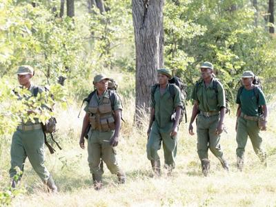 Shenton-Safaris-461-600x450.jpg