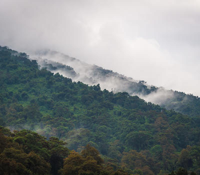 Bisate Lodge - Gallery