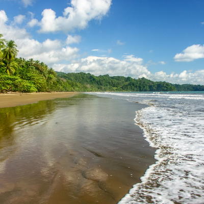 Uvita