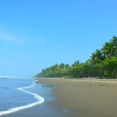 Dominical