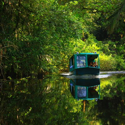 Tortuguero