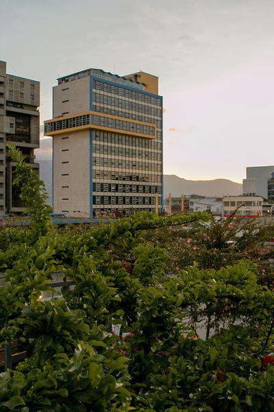 Sight of San Jose from Azotea Calle 7