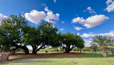 Campsite