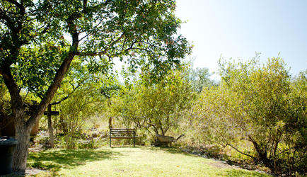Toshari Lodge Campsite