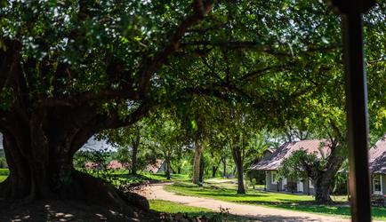 Kirkman's Kamp - Cottages