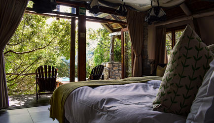 Forest View Suite