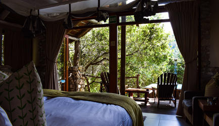 Forest View Suite