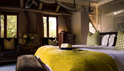 Forest View Suite