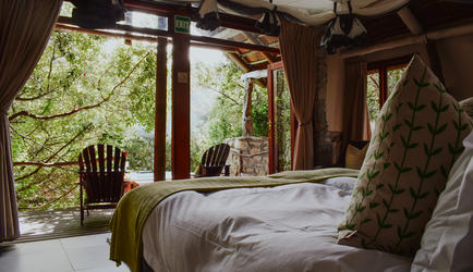 Forest View Suite