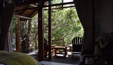 Forest View Suite View