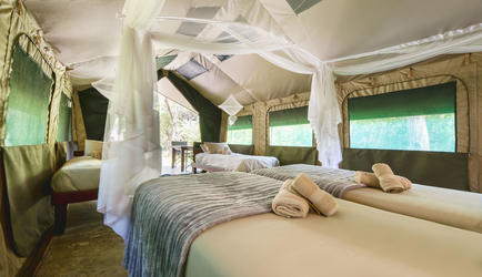 Safari tent interior
