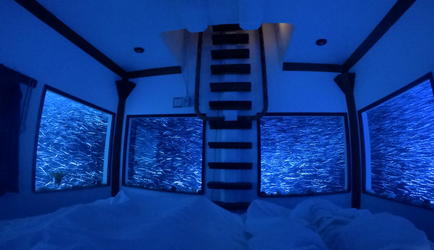 at Night
