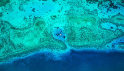 Room in our Marine Protected Area
