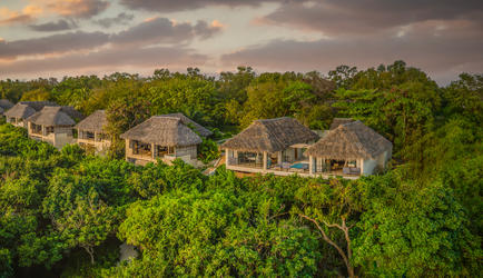 Seafront Jungle View