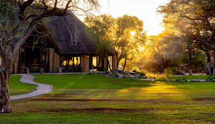 Classic Safari Room - Twin
