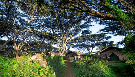 Lemala Ngorongoro Tent
