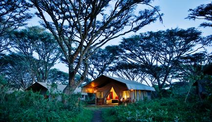 Lemala Ngorongoro Tent
