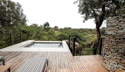 Plunge Pool
