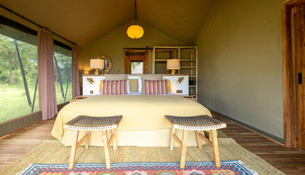 Family Tent
