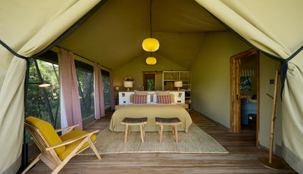 Family Tent