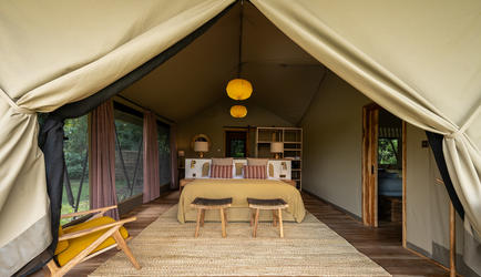 Family Tent