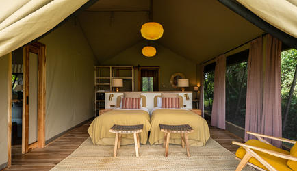 Family Tent