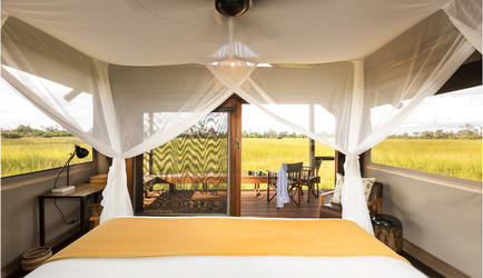 Guest Tent Interior