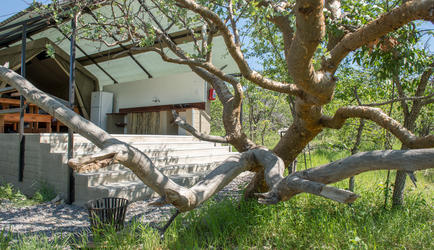 Etosha Safari Camping2Go