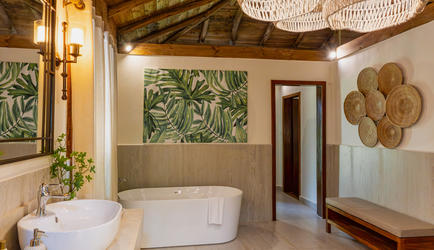 Villa Primary Bathroom