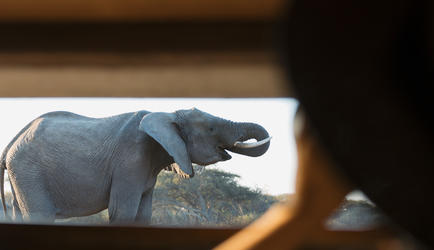 Underground Hide photography