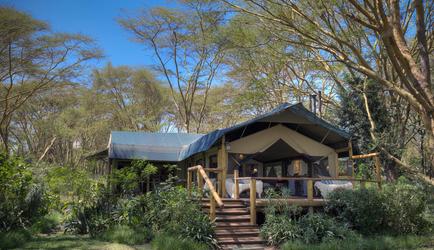 Family Tent - Ext