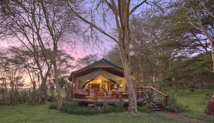 Luxury Tent 