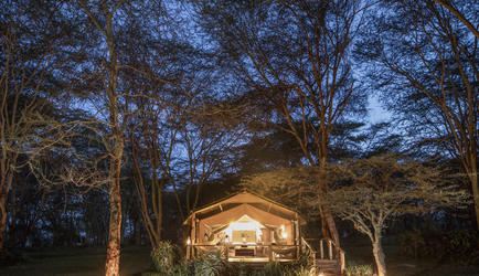 Luxury Tent 