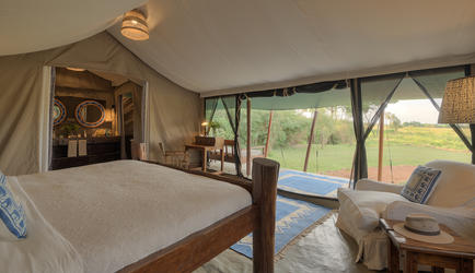 View from Tent