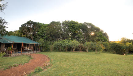 Standard Tent