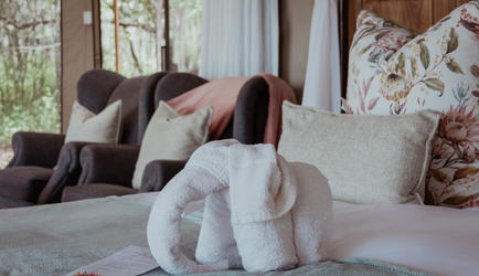 Suite - Interior