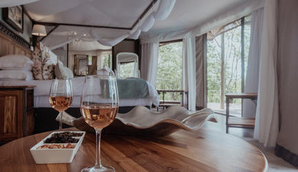 Suite - Interior
