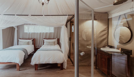 Family Suite Kids Bedroom