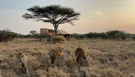 Olmara Camp Stargzer Tented Suite