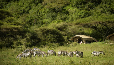 Entara Camp (South)