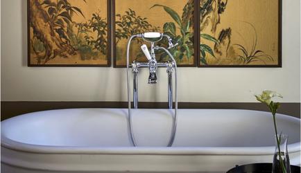 Garden room stylish bath