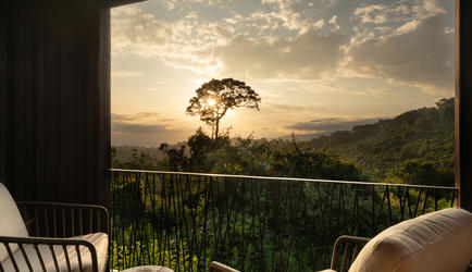 Suite with a view