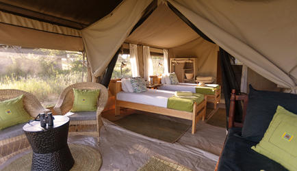 Serengeti North Wilderness Camp - twin
