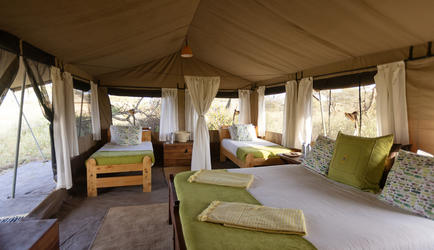 Family tent 