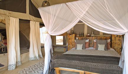 Family Tent