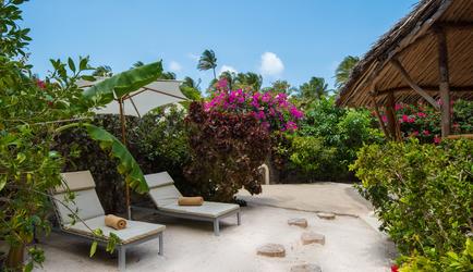 Garden View with Lounge Chairs