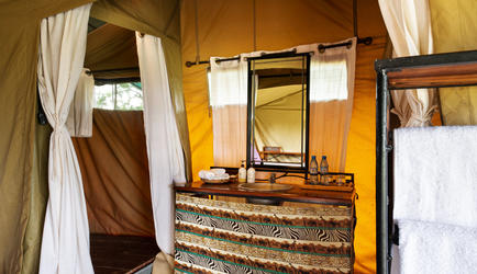 Bathroom, shower area