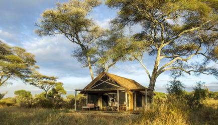 Large airy rooms covered in thatch